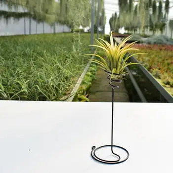 Rastlina Rack Užitočné, Krásne Jednoduchá Inštalácia Vzduchu Ananás Modul Zelená Rastlina Displej Držiak Dekorácie Domova Obrázok